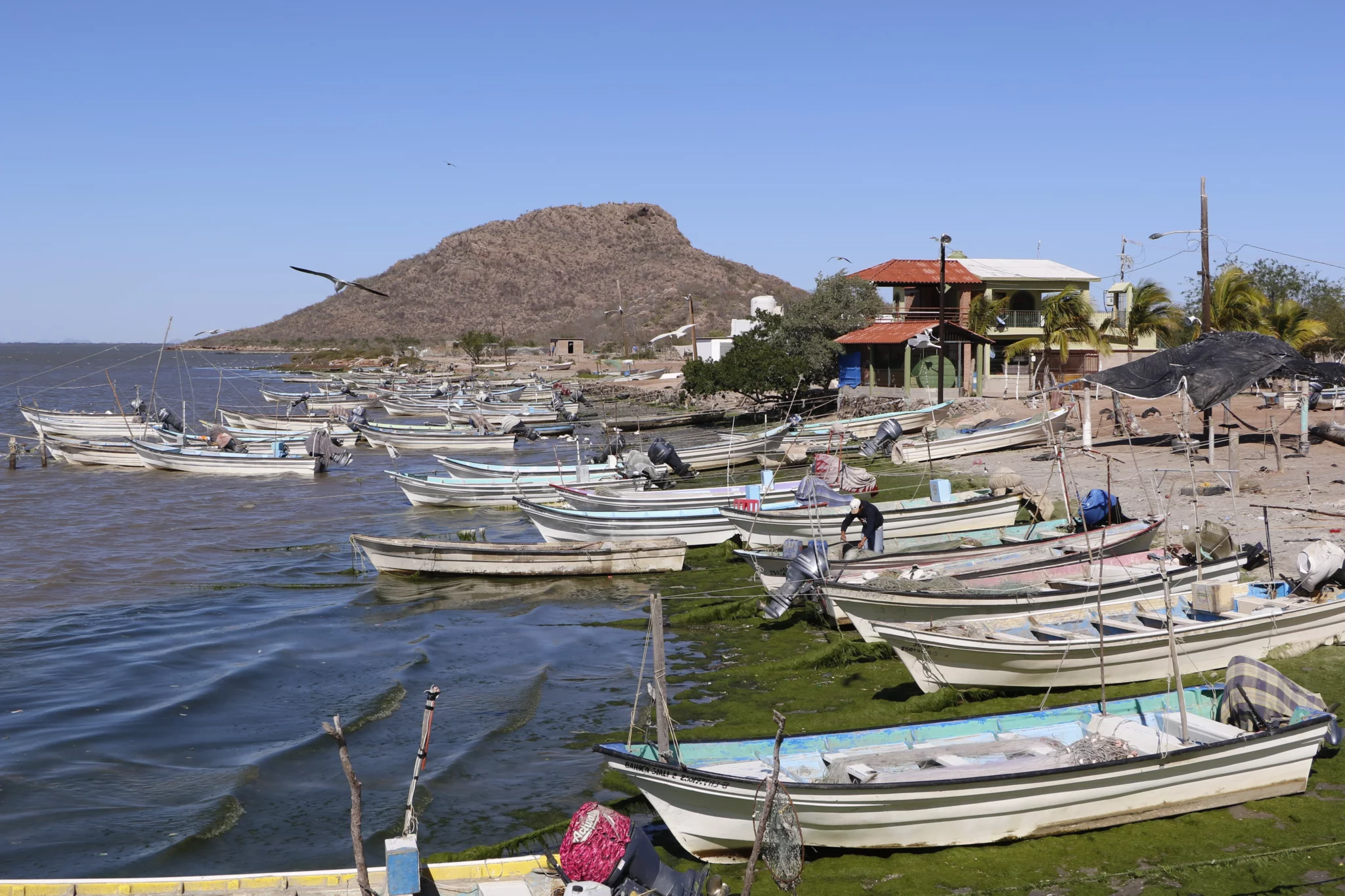 Muelle en campo pesquero de Lázaro Cárdenas, en la Bahía de Topolobampo
