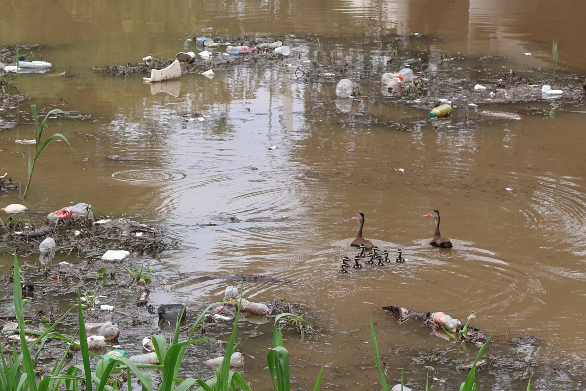 Basura Rio Parque Las Riberas