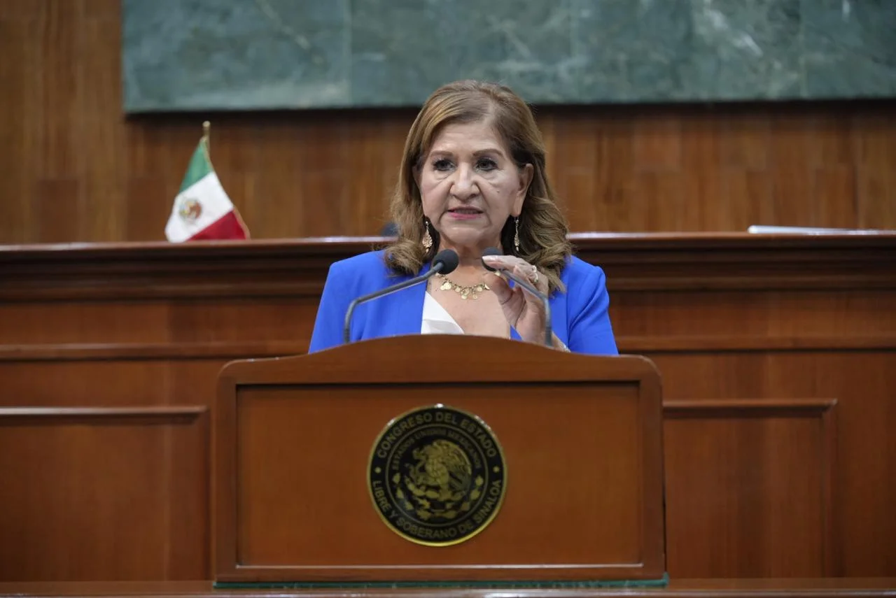 Maria Teresa Guerra Ochoa Juicio de Procedencia Gerardo Vargas Landeros
