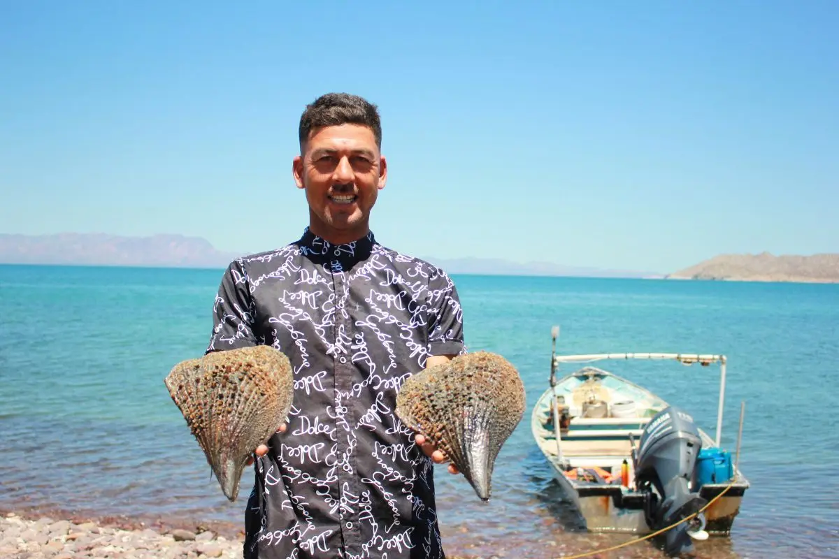 Portadas_notas_CNM_869fe98a2c