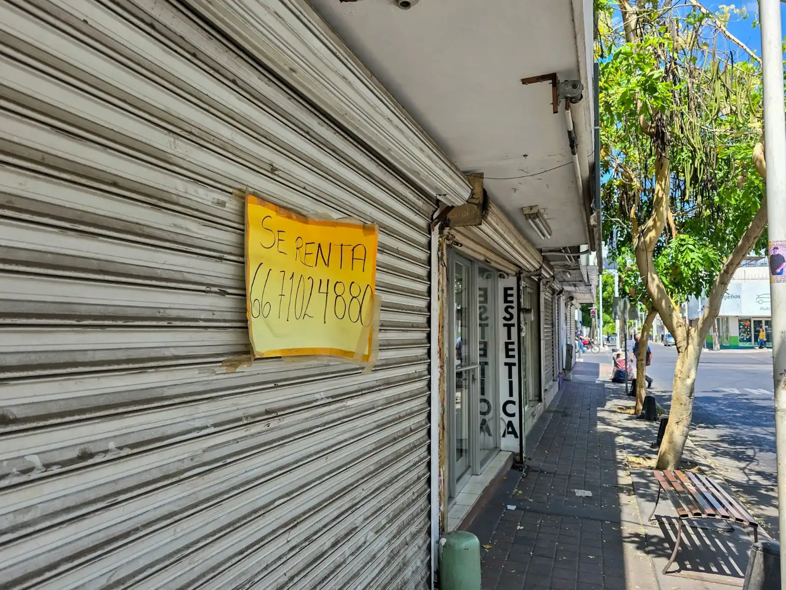 El Frente Primero Culiacán solicitó al ayuntamiento extender un mes más la condonación del impuesto por uso de piso, ante la caída de ventas y cierre de más de 2,000 negocios por inseguridad y baja en el consumo.