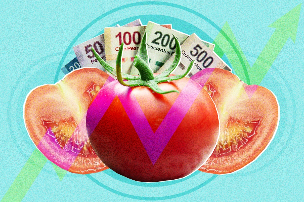 El precio del tomate en México sigue un patrón estacional que beneficia a pocos y perjudica a muchos. Conoce las causas del ciclo, los efectos en los agricultores sinaloenses y la falta de apoyo oficial.