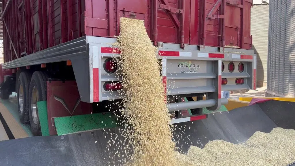 El líder campesino Agustín Espinoza señala que el ingreso de Cargill profundiza la extranjerización del sistema alimentario mexicano, en detrimento del campo sinaloense.