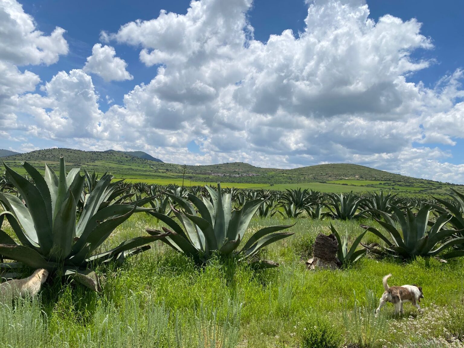 WhatsApp-Image-2025-08-02-at-20.45.57-1536x1152