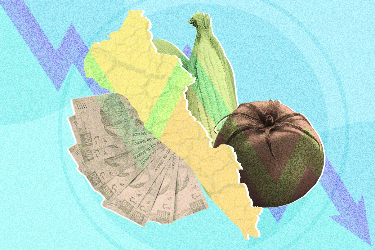 crisis sinaloa campo