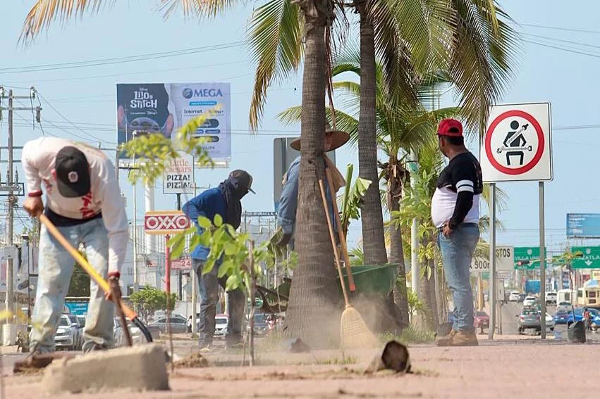 reforestacion con neem mazatlan I