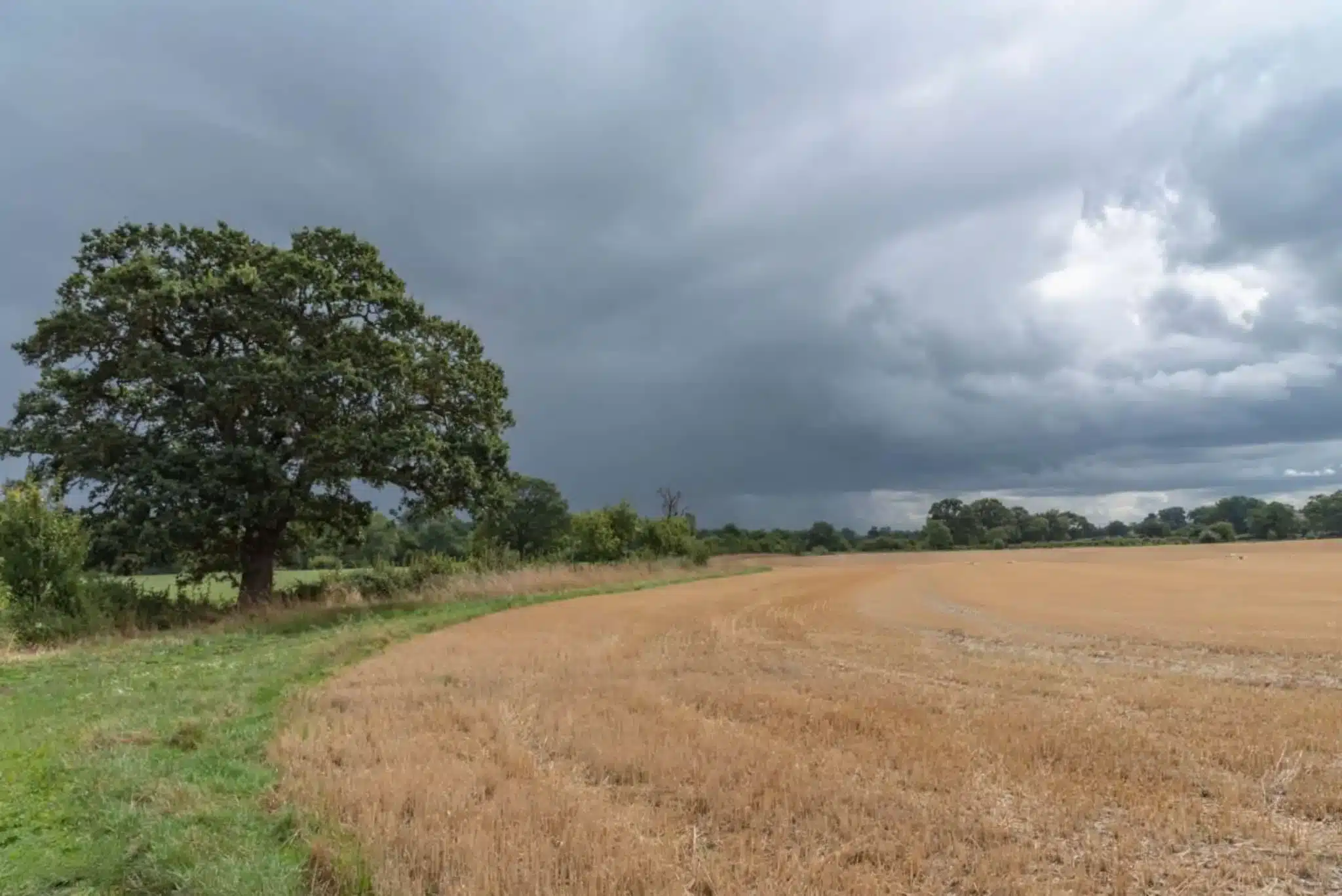 clima-los-mochis-24-septiembre-2025