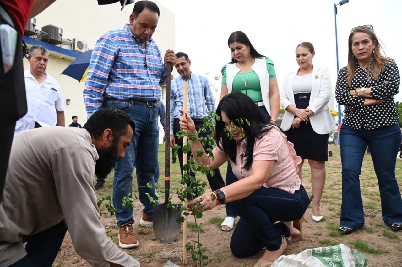 ESPECIES NATIVAS (4)