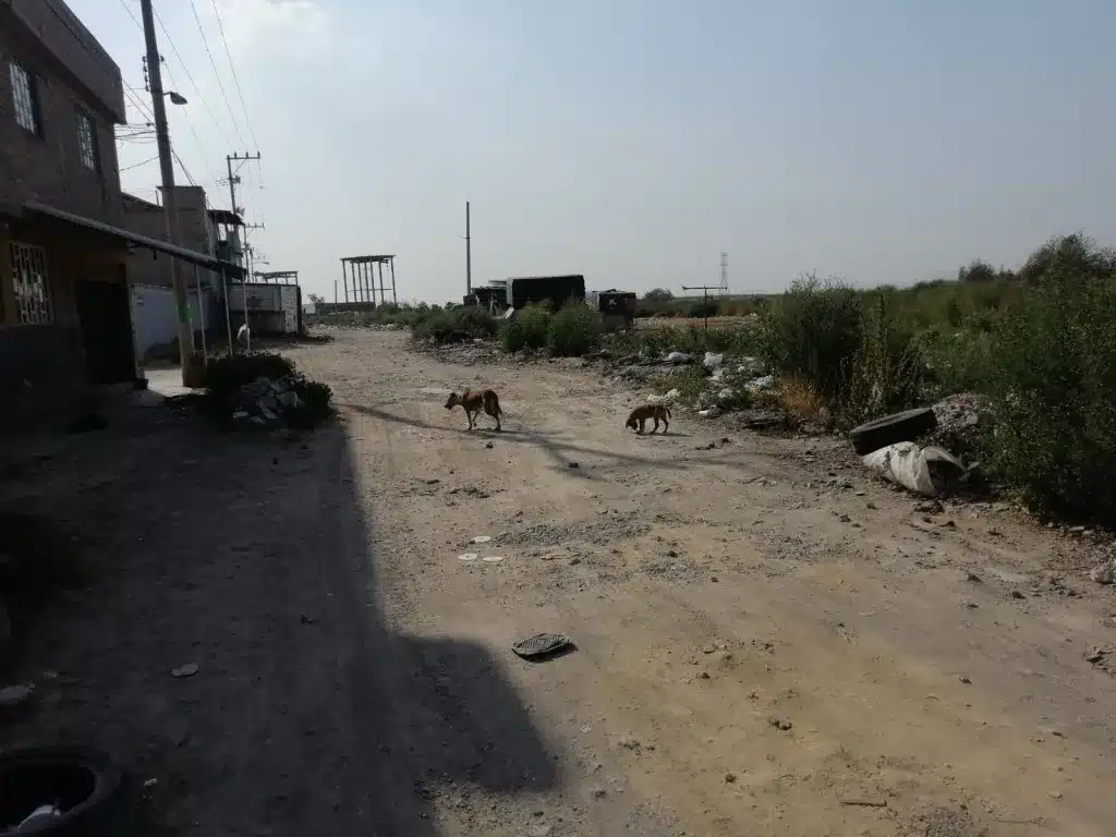 ec16137c-4493-4951-9da8-3a191a9feaba