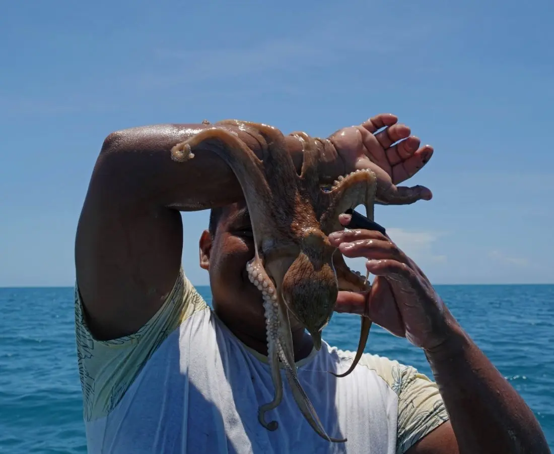 Portada_Pulpo_35f9d65fd0