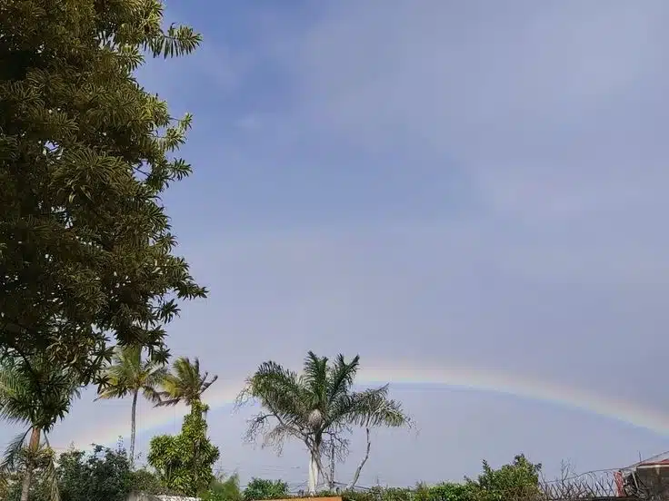 clima-los-mochis-14-octubre-2025