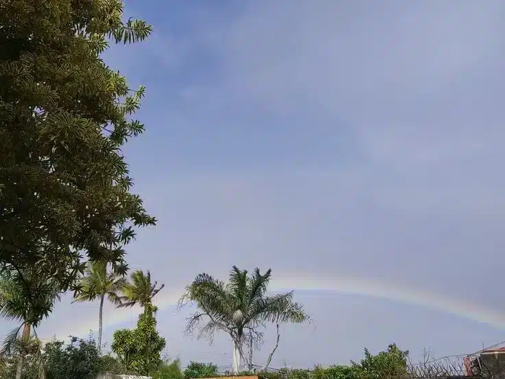 clima-los-mochis-21-octubre-2025