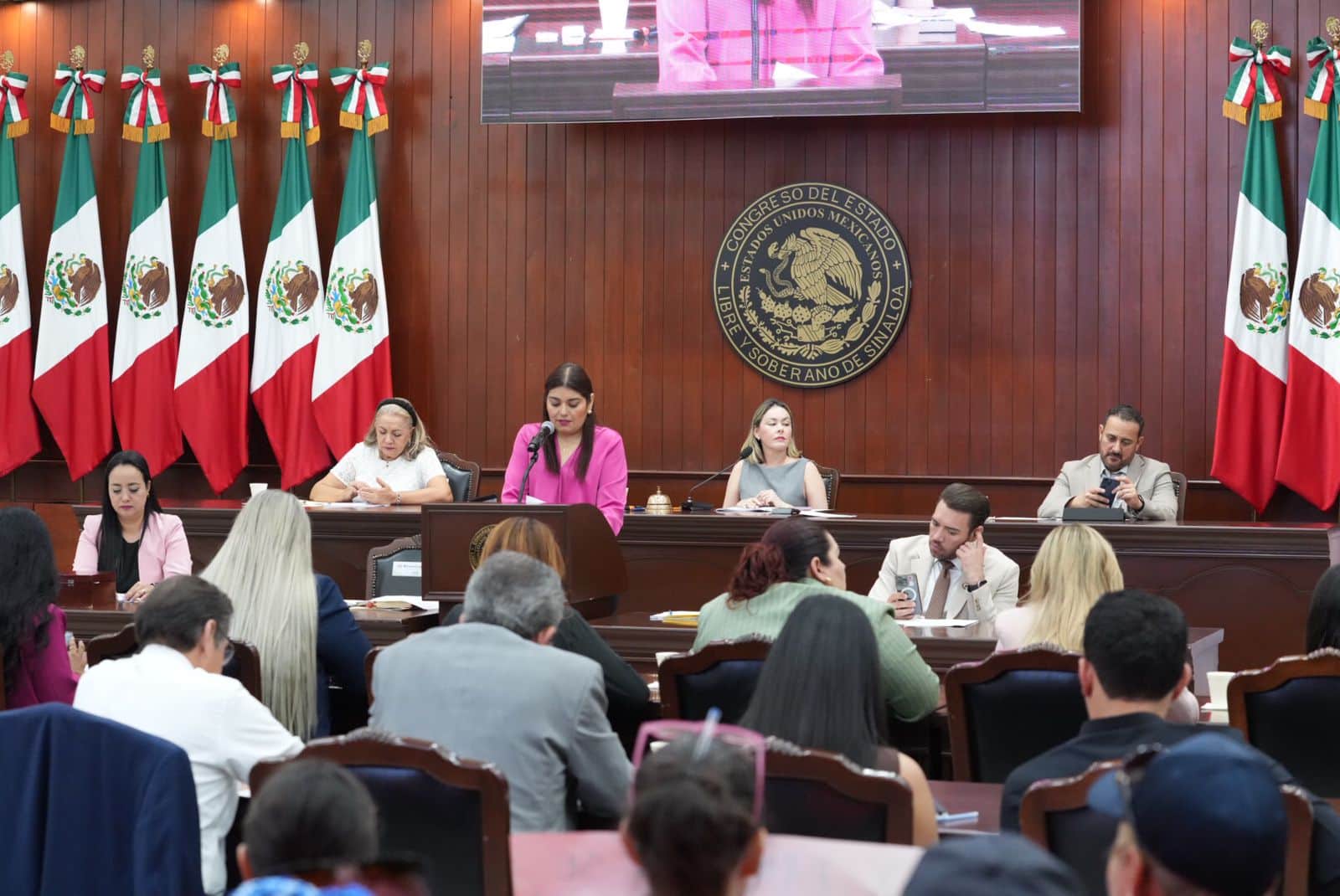 congreso-iniciativa (2)