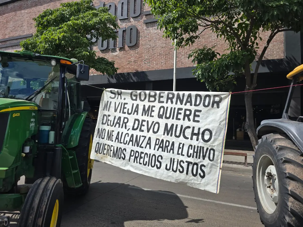 Productores sinaloenses exigen un precio de garantía rentable para el maíz.