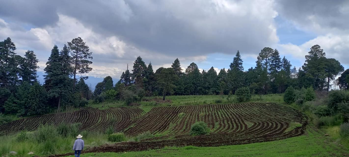 Frente a la fragilidad de un sistema atado al petróleo y los precios volátiles, la agroecología se consolida como una alternativa viable.