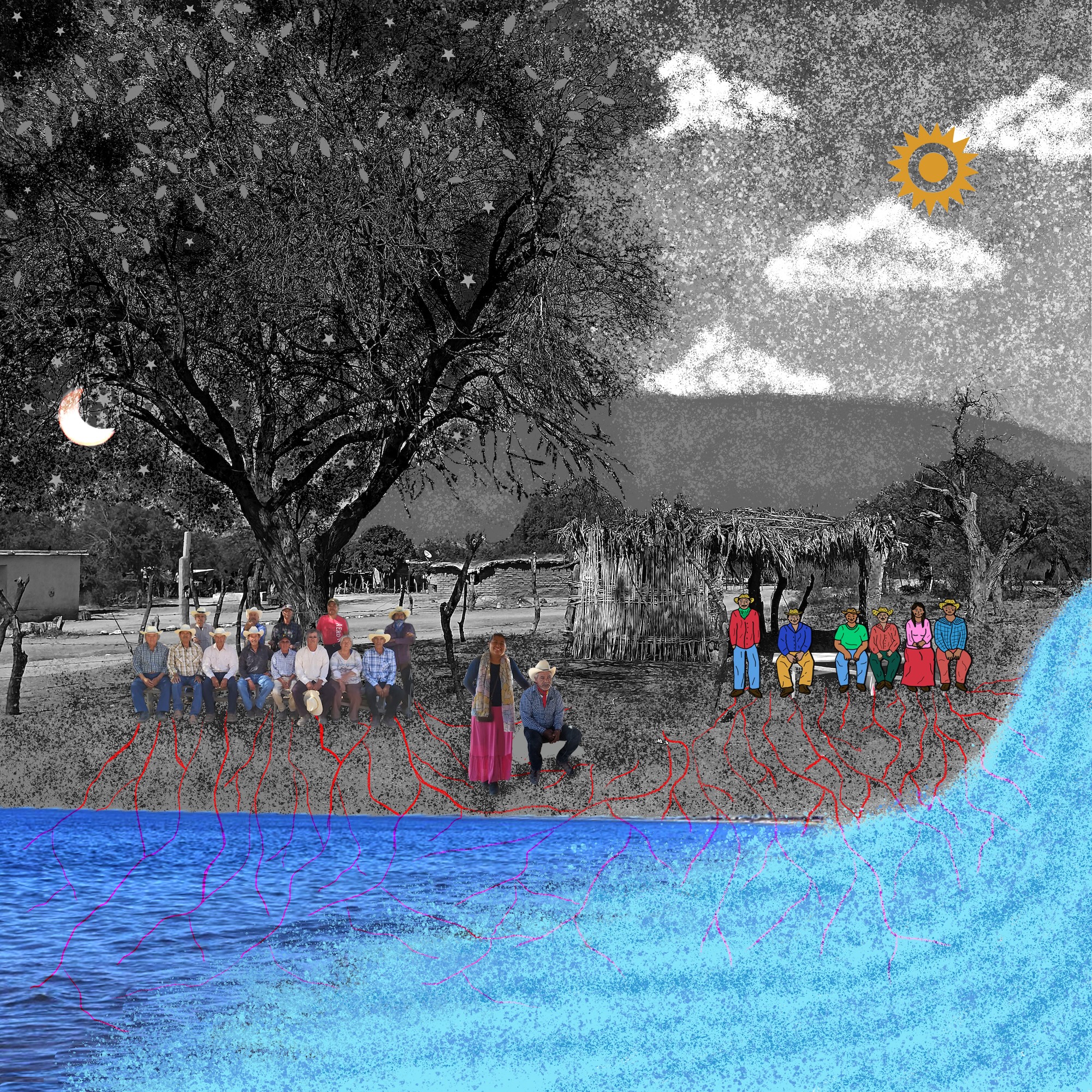 Ilustración Sonora