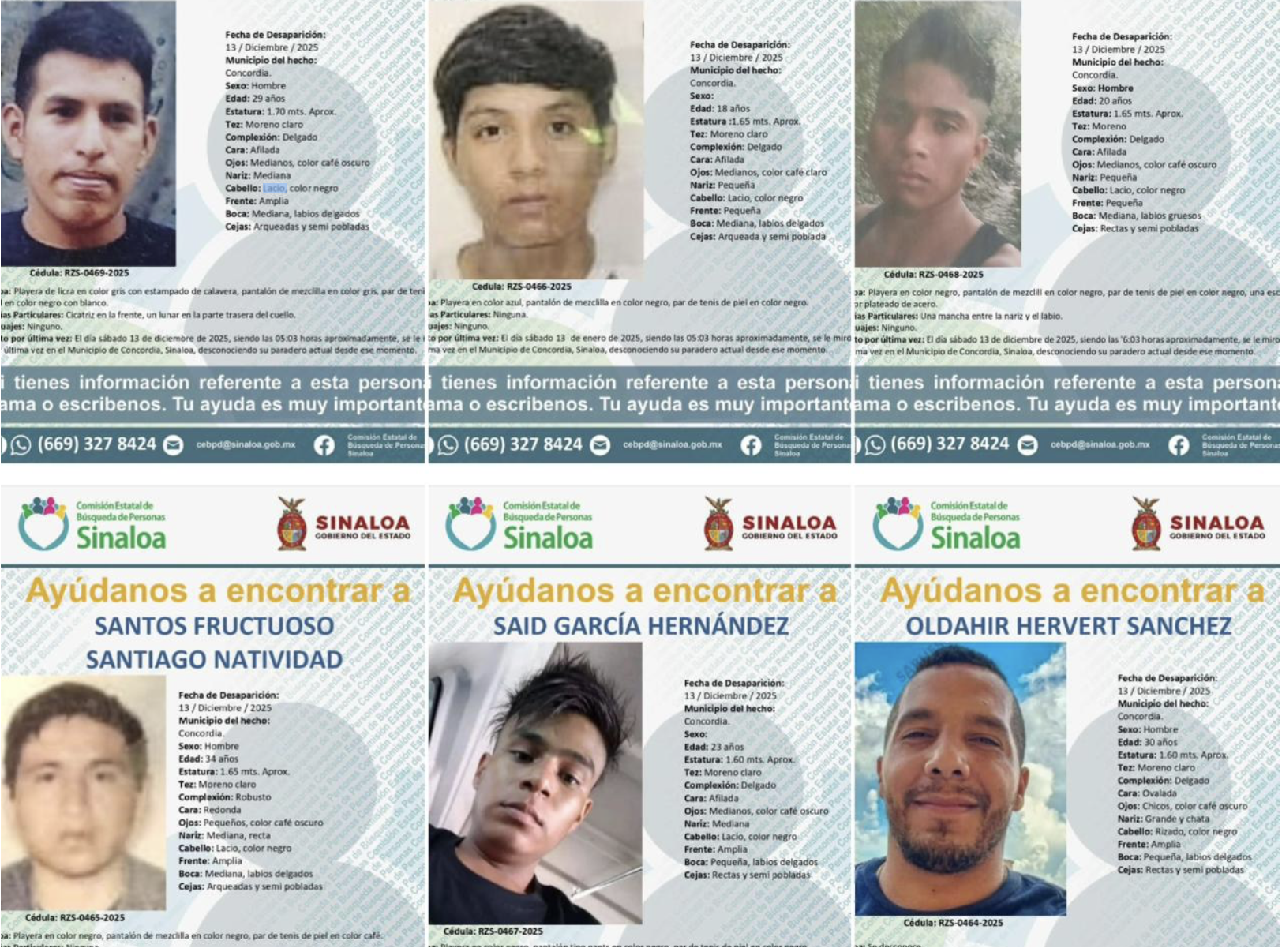 Collage de fichas oficiales de búsqueda emitidas por la Comisión Estatal de Búsqueda de Personas de Sinaloa, correspondientes a jornaleros y un chofer reportados como desaparecidos en el municipio de Concordia y posteriormente localizados con vida.