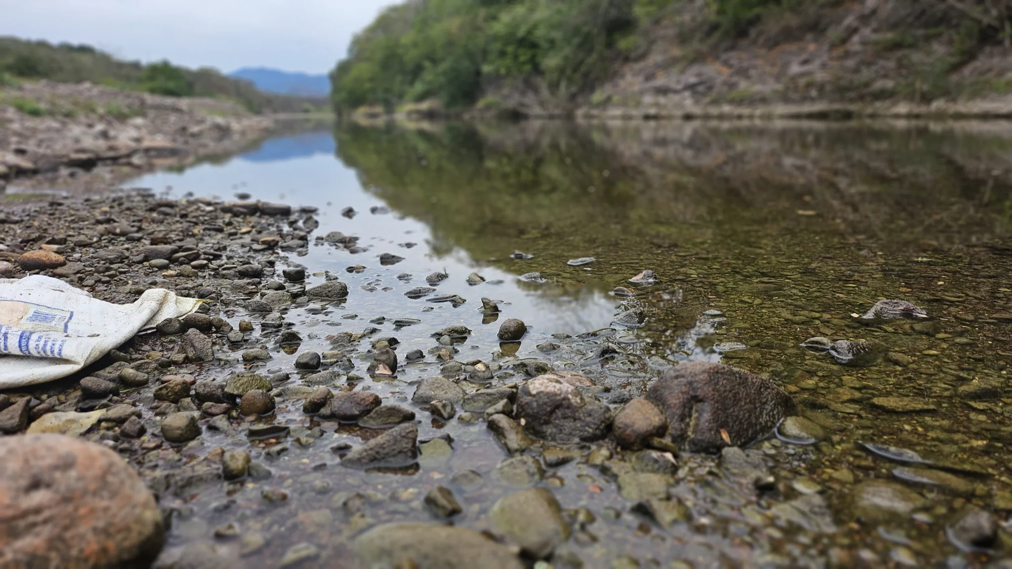 Arroyo-semi-seco-sierra-de-Cosalá