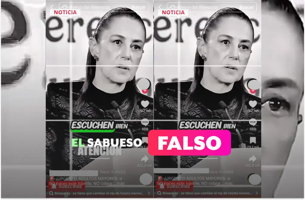 desinfo_general-17-1024x671