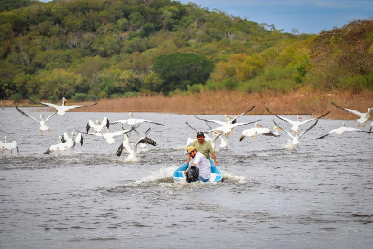 Flor Emilia Guerra Mena entrega motores y embarcación a la cooperativa Pez Hombre, como parte del programa estatal de apoyos al sector pesquero.