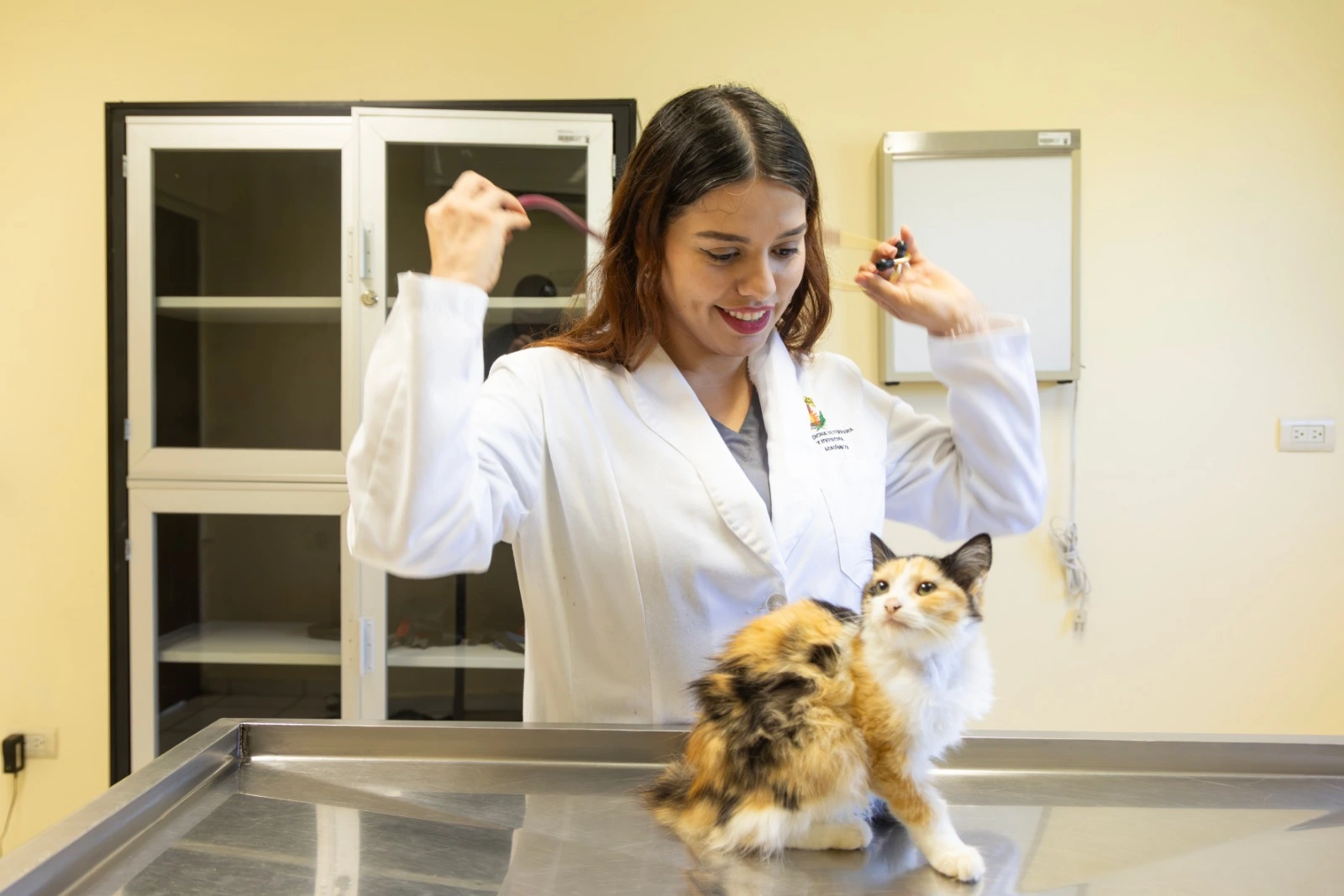El estrés en mascotas suele pasar desapercibido, pero reconocer síntomas como vómito, apatía o conductas destructivas puede prevenir problemas graves.
