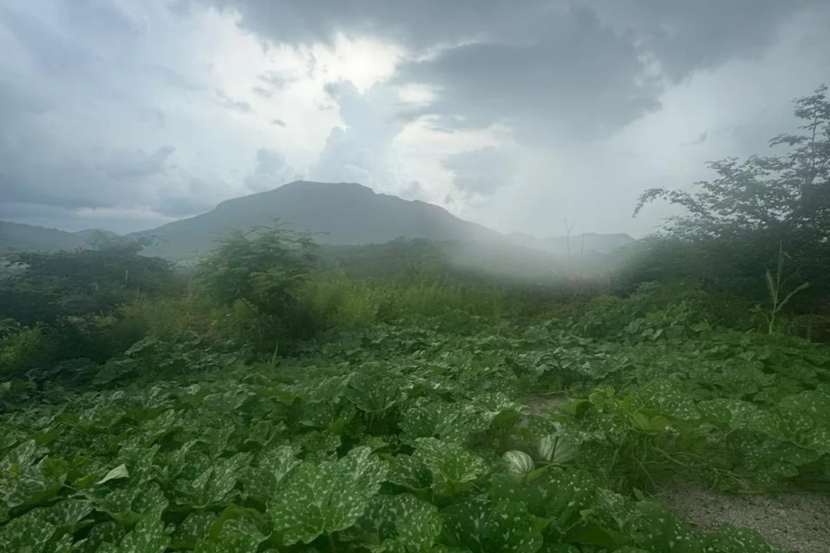 sierra-badiraguato-rancho-blanco-la-caña