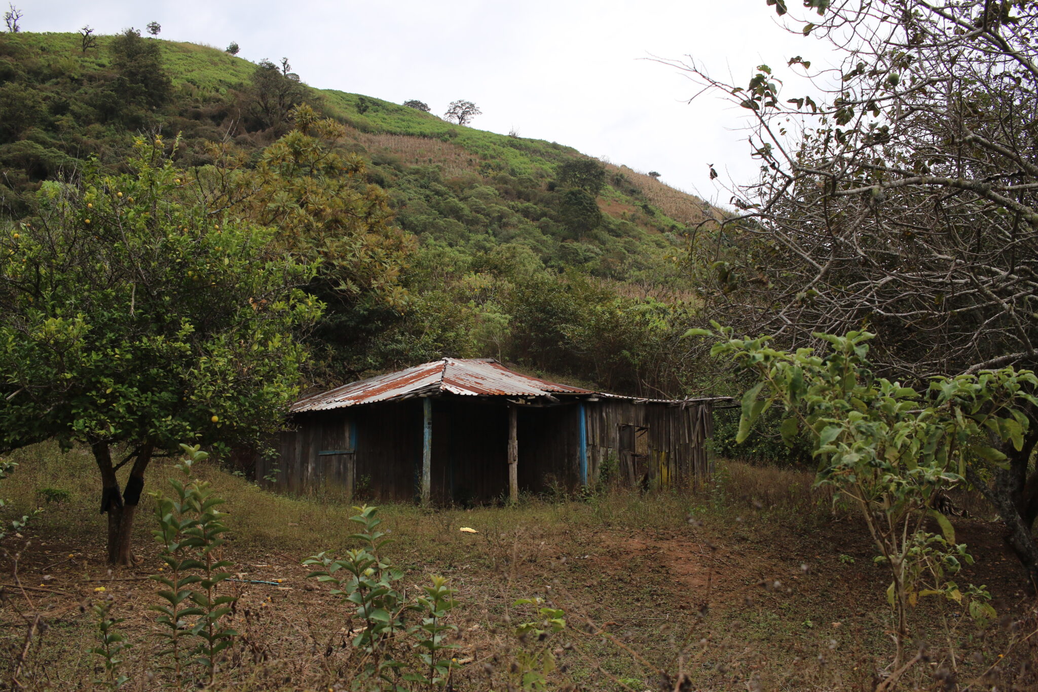 Casa abandonada en Chirimoyos, Concordia.