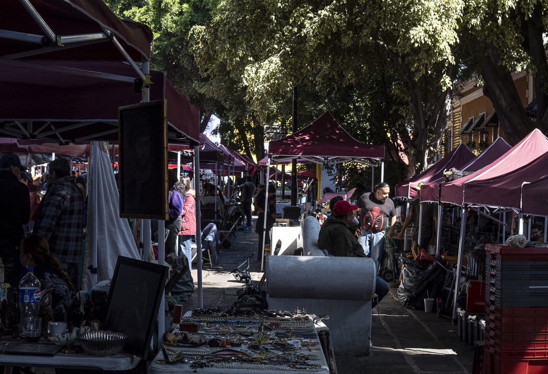 Los-Sapos-Diciembre-04317-2