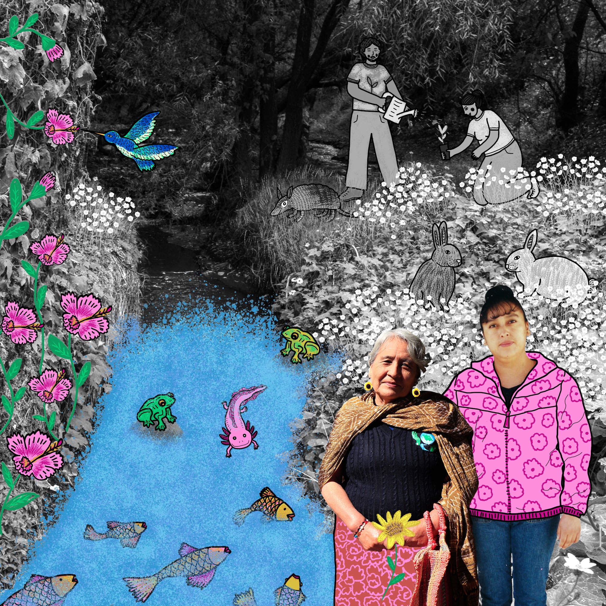 PdeloP Ilustración Atoyac