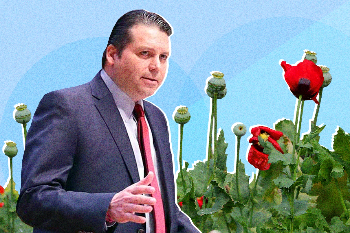 Mario-zamora-amapola