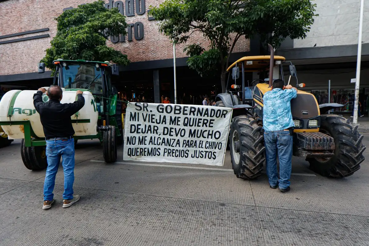 Productores de maíz en Sinaloa enfrentan colapso financiero: venden parcelas y tractores ante precios internacionales bajos y ausencia de apoyos.