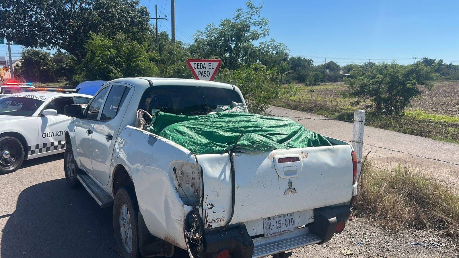 El hallazgo de seis cuerpos y otro asesinato en Navolato reflejan la crisis de violencia que afecta a la zona centro de Sinaloa desde 2024.