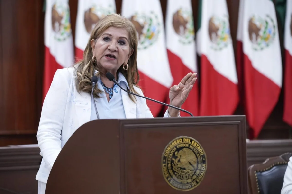 tere-guerra-senado-40-horas